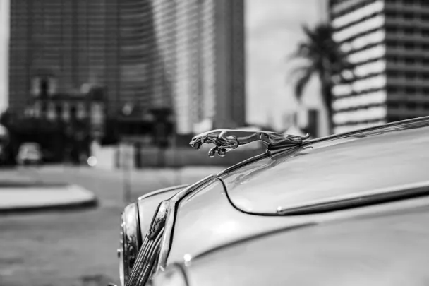 Casino Golden Reels App Android/iOS